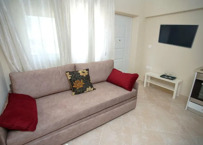 Akti Alegra Ii 尼基季