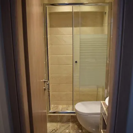 Akti Alegra Ii * ニキティ